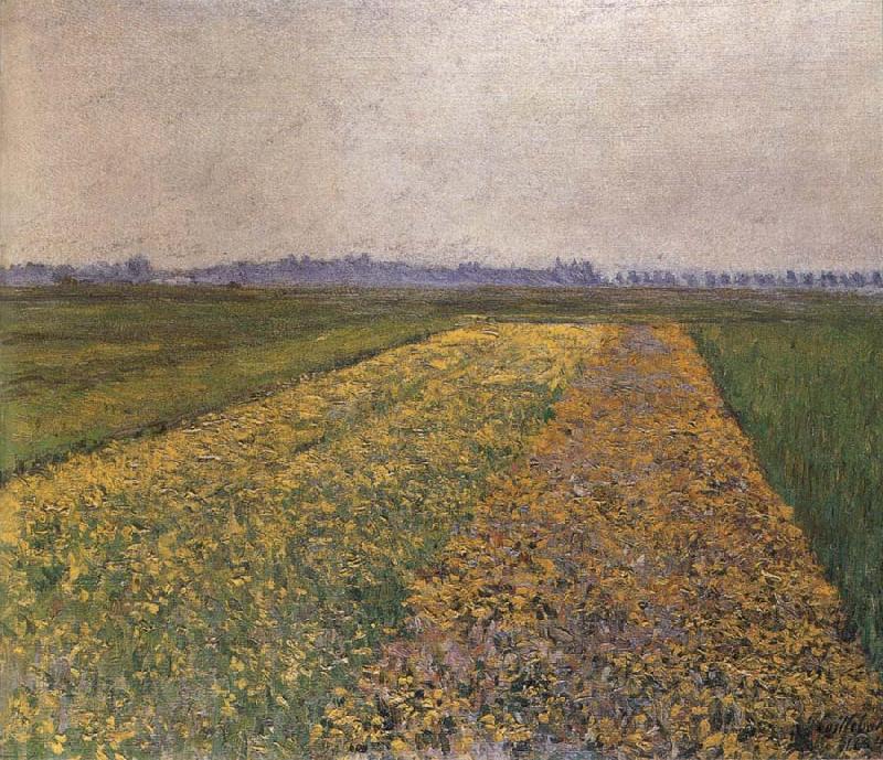 Gustave Caillebotte Yellow field Germany oil painting art